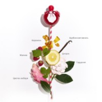 Parfum pentru ea Nina Ricci Nina Rouge EDT 30ml imaginea #2 — magazin online Desire.md