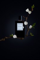 Парфюм для неё Van Cleef & Arpels Bois d'Amande EDP 75ml фото №3 — интернет-магазин Desire.md