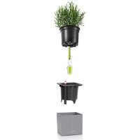 Ghiveci Lechuza Canto Stone 14 Graphite Black imaginea #3 — magazin online Desire.md