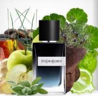 Парфюм для него Yves Saint Laurent Y Men EDP 60ml фото №3 — интернет-магазин Desire.md