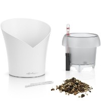 Ghiveci Lechuza Orchidea White imaginea #2 — magazin online Desire.md