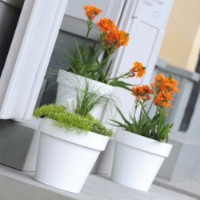 Ghiveci Prosperplast Lofly (DLOF500-S449) imaginea #2 — magazin online Desire.md