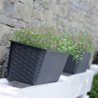 Ghiveci Prosperplast Ratolla ISR600P-7529U imaginea #2 — magazin online Desire.md