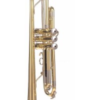 Trompete Parrot 6416 L imaginea #2 — magazin online Desire.md