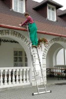 Лестница Elkop VHR TK 2x7 фото №2 — интернет-магазин Desire.md