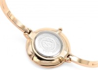 Ceas de mână Anne Klein AK/1470RGST imaginea #4 — magazin online Desire.md