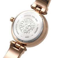 Наручные часы Anne Klein AK/1980BMRG фото №3 — интернет-магазин Desire.md