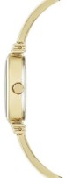 Наручные часы Anne Klein AK/2216IVGB фото №2 — интернет-магазин Desire.md