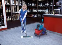 Mop Leifheit Flat (59103) imaginea #3 — magazin online Desire.md