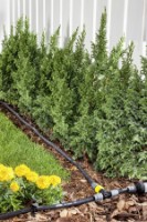 Коннектор садовый Karcher 2.645-231.0 фото №3 — интернет-магазин Desire.md