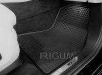 Автоковрики Rigum BMW X5 2018 (904772) фото №3 — интернет-магазин Desire.md
