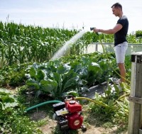 Мотопомпа AL-KO BMP 14001 (113793) фото №2 — интернет-магазин Desire.md