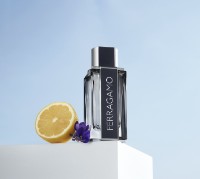 Parfum pentru el Salvatore Ferragamo Ferragamo EDT 30ml imaginea #2 — magazin online Desire.md