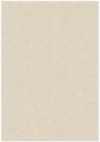 Ковёр Verbatex Lustrous (482-595440) 0.80x1.25m фото №1 — интернет-магазин Desire.md