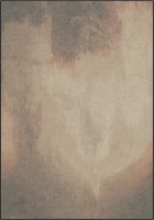 Ковёр Verbatex Lustrous (736-575350) 0.80x1.25m фото №1 — интернет-магазин Desire.md