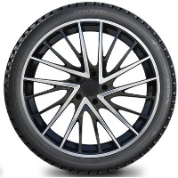Шина Tourador Winter Pro TSS1 215/70 R16 100T фото №2 — интернет-магазин Desire.md