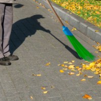 Метла Filmop 9039 фото №2 — интернет-магазин Desire.md