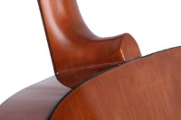 Chitară acustică Yamaha F310 TBS imaginea #4 — magazin online Desire.md