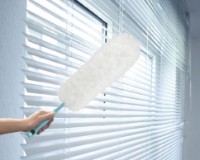 Щетка для стен и потолков Leifheit Duster XL (41520) фото №3 — интернет-магазин Desire.md