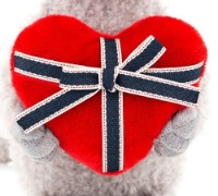 Jucărie de pluș Orange Toys Cat with Heart 30cm (OS080/30) imaginea #5 — magazin online Desire.md