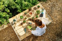 Набор садовых инструментов Cellfast Set Ergo (42862) фото №3 — интернет-магазин Desire.md