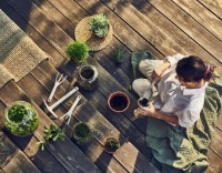 Set unelte de grădină Cellfast Set Pastel 40-051 (42860) imaginea #2 — magazin online Desire.md