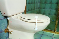 Dopuri de toaletă DreamBaby Toilet Lock (F123)  imaginea #5 — magazin online Desire.md