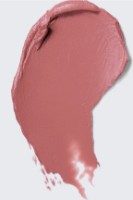 Ruj de buze Estee Lauder Pure Color Envy Matte Sculpting Lipstick 551 Impressionable imaginea #2 — magazin online Desire.md