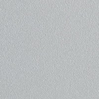 Uscător de prosoape Gorgiel Altus VA AVA 115/50 Platinum Matt 11 (11) imaginea #2 — magazin online Desire.md