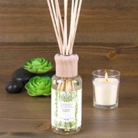 Difuzor de aromă Pajoma Bambus Bamboo 100ml (91612) imaginea #3 — magazin online Desire.md
