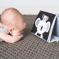 Carte educațională pentru copii Taf Toys Bow Plar Lights 4in1 (12395)  imaginea #4 — magazin online Desire.md