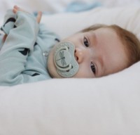 Suzeta Lovi Botanic Boy (22/869) imaginea #4 — magazin online Desire.md