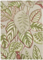 Ковёр Brink & Campman Sanderson Calathea Oil 50807 2.00x2.80m