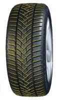 Anvelopa Dunlop Winter Sport 5 205/60 R16 92H