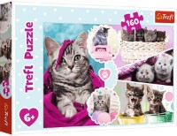 Puzzle Trefl 160 Lovely kittens (15371) imaginea #2 — magazin online Desire.md