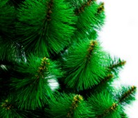 Декоративная ёлка Brad Acasă Nevada QC203 1.50m фото №2 — интернет-магазин Desire.md