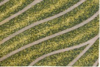 Covor Louis de Poortere Waves 9133 Gambia Coast 2.00x2.80m imaginea #4 — magazin online Desire.md