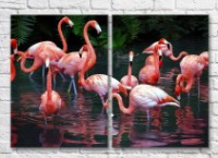 Картина ArtPoster A flock of flamingos in a dark pond (3451168)