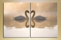 Pictură ArtPoster A pair of swans (2603016)
