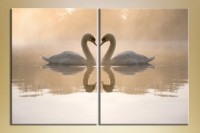 Картина ArtPoster A pair of swans (2603016)
