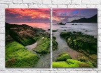 Картина ArtPoster A rocky coast covered with mud (3453806)