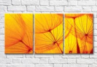 Картина ArtPoster Abstract dandelion petals on a Yellow background (3565210)