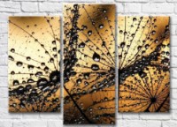 Pictură ArtPoster Abstract dandelion petals with dew drops (3565183)