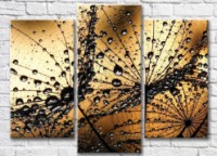 Картина ArtPoster Abstract dandelion petals with dew drops (3565183)