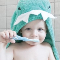 Набор детских зубных щёток Nuby 3in1 (ID754)  фото №4 — интернет-магазин Desire.md