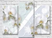Картина ArtPoster Abstraction from White orchids and patterns (3565178)