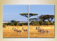 Картина ArtPoster African landscape 01 (2602996)