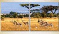 Картина ArtPoster African landscape 02 (2602980)
