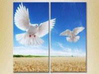 Картина ArtPoster Two doves in flight (2602994)