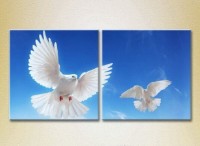 Картина ArtPoster Two doves in flight 01 (2602997)
